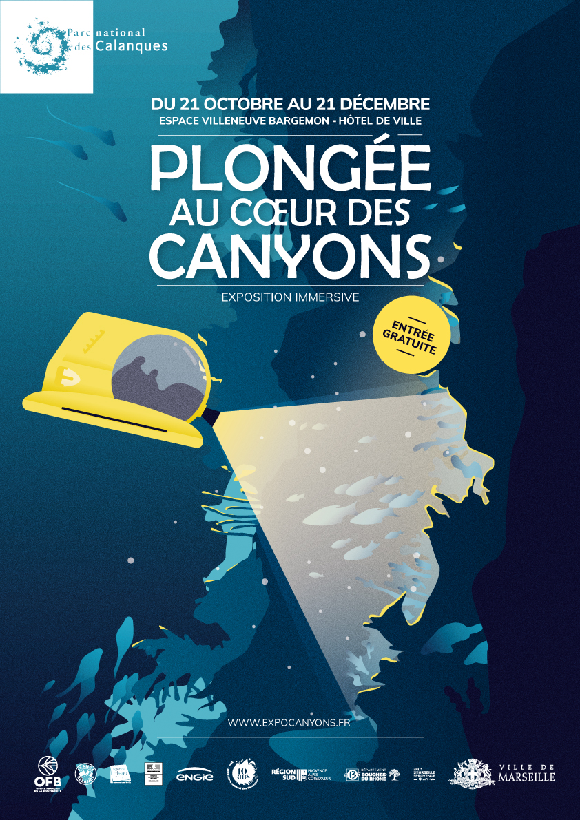 Diving into the Canyons poster